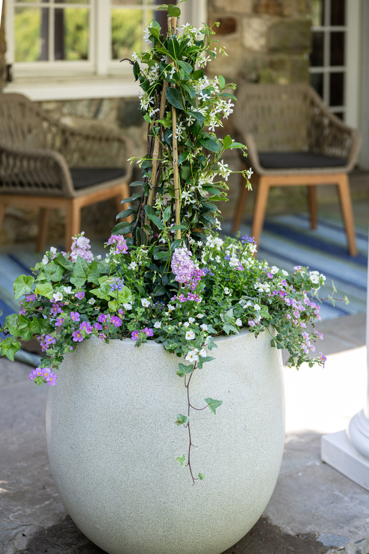 Mansion-in-May-Single-Planter